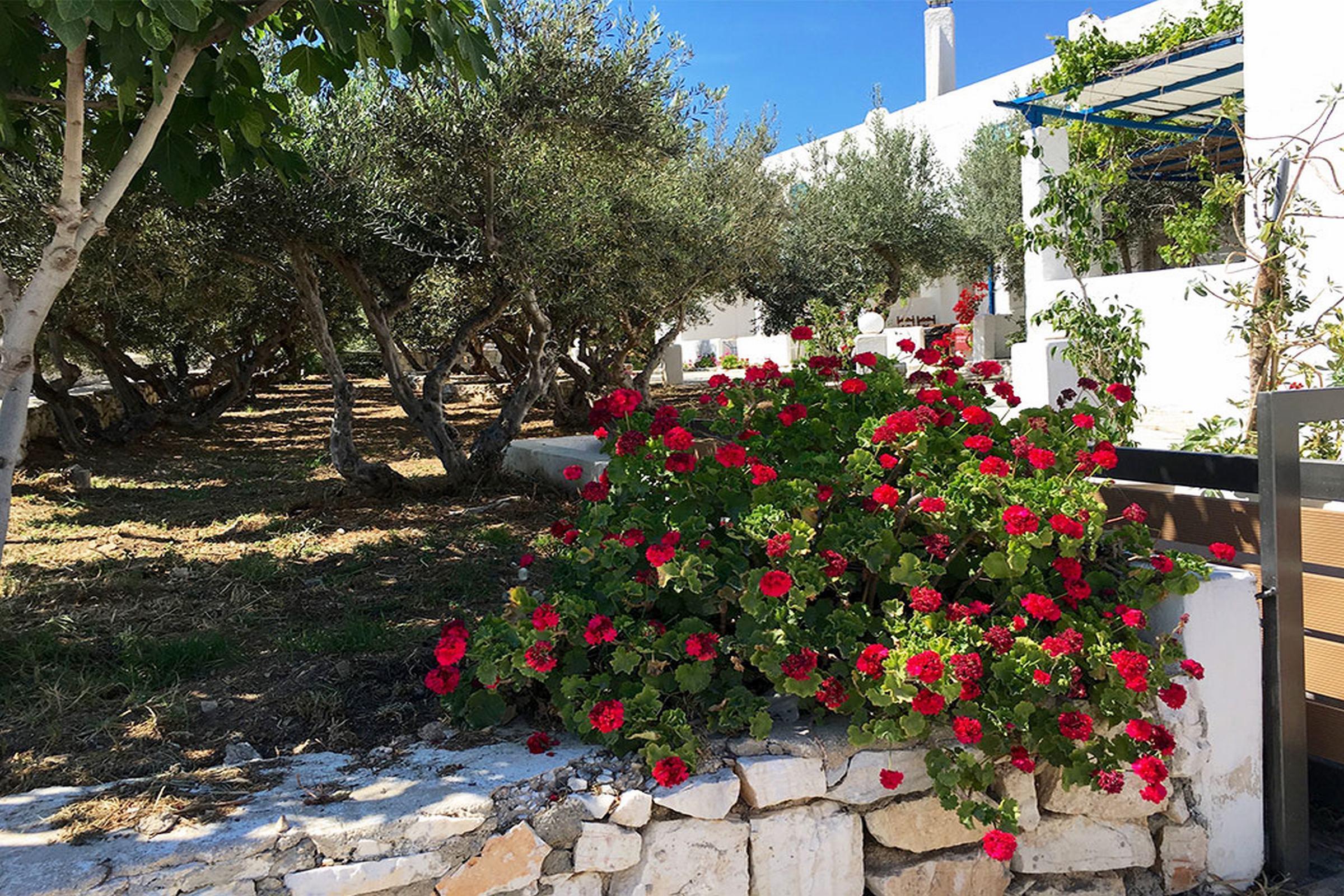 Amaryllis Beach Hotel Chrisi Akti  Exterior photo
